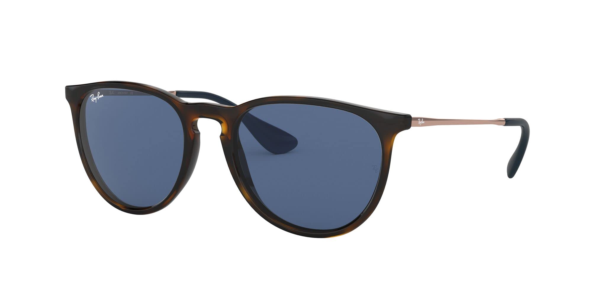 Ray-Ban RB4171 Erika Round Sunglasses