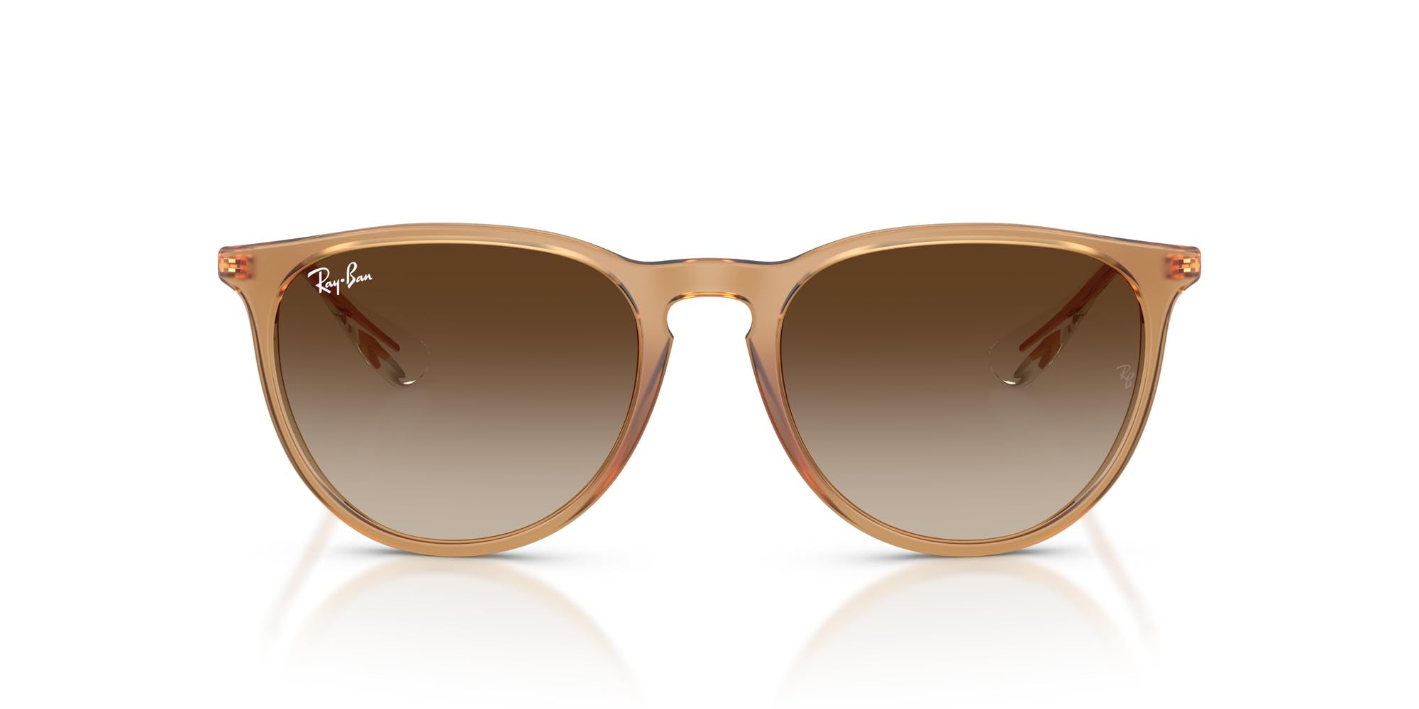 Ray-Ban RB4171 Erika Round Sunglasses