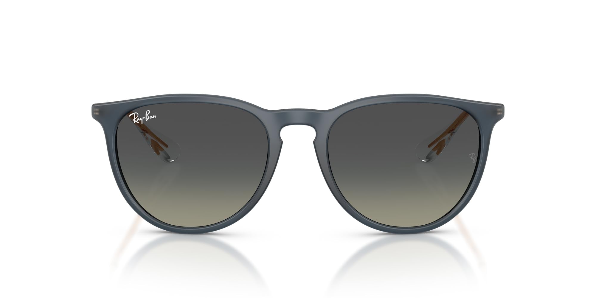Ray-Ban RB4171 Erika Round Sunglasses