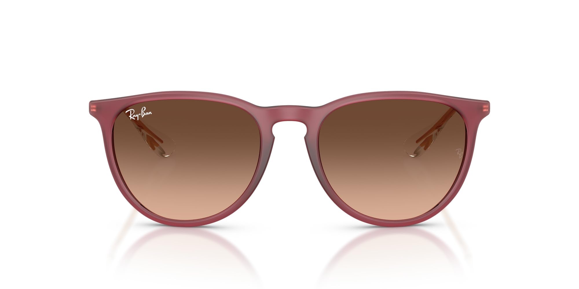 Ray-Ban RB4171 Erika Round Sunglasses